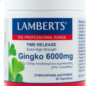 Lamberts Time Release Ginkgo 30 ταμπλέτες